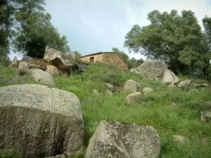 Sito archeologico di Filitosa - Rocce, erba, alberi e case in pietra