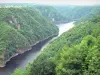 Sito de Saint-Nazaire - Panorama delle gole verdi della Dordogna e la confluenza della Dordogna e lo sfondo Diège