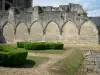 Soissons - Antiga Abadia de Saint-Jean-des-Vignes: Jardim do Claustro