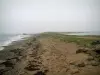 Solco di Talbert - Stretta striscia di sabbia e ciottoli, in parte coperto da erba e alghe, che si protende nel mare (Manica)
