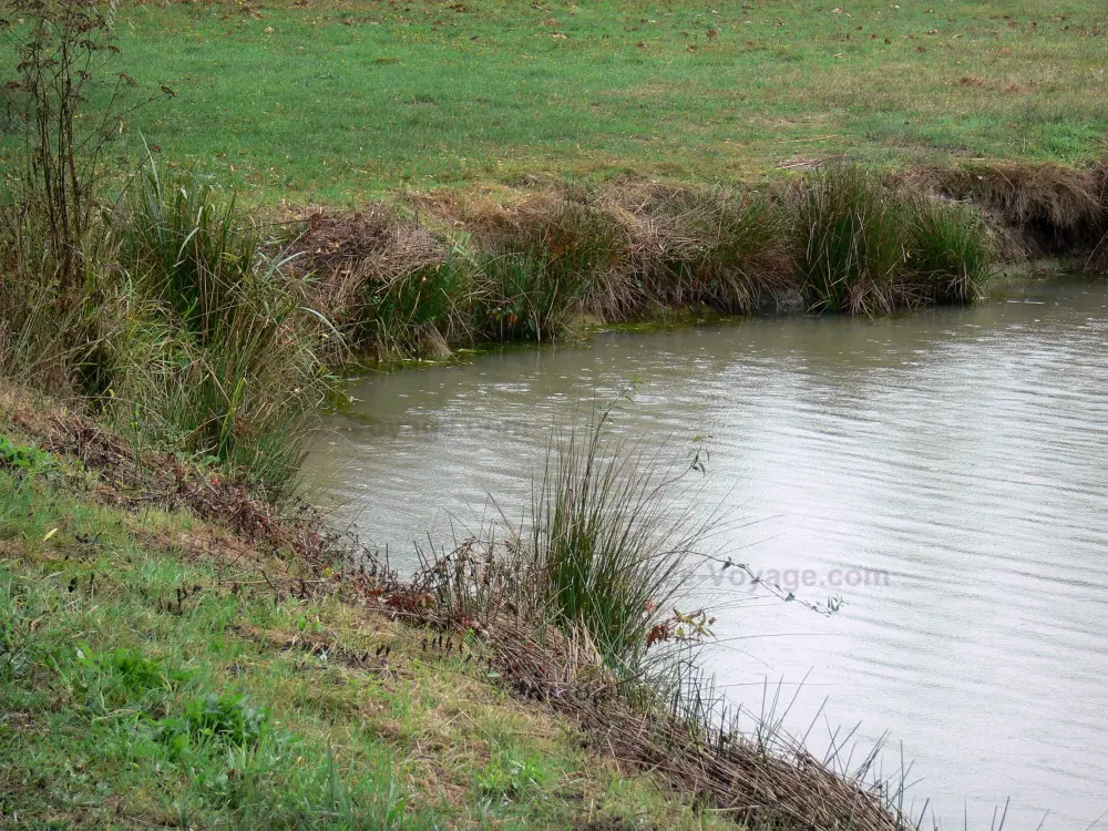 Photos Sologne Tourism & Holiday Guide