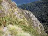 Sommet de Portel - Depuis le sommet de Portel, vue sur la forêt en contrebas ; dans le Parc Naturel Régional des Pyrénées Ariégeoises