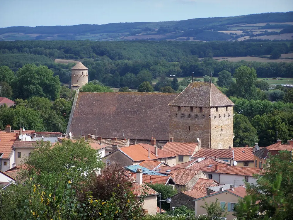 Guia da Sona e Líger - Cluny - Torre do moinho, telhado do velho Farinier (abadia de Cluny), telhados de casas, árvores, torre redonda e floresta ao fundo