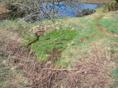 Sorgente della Loire