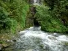 Source du Doubs - Source de la rivière Doubs, parois rocheuses et arbustes ; dans le Val de Mouthe