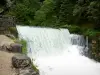 Source du Doubs - Site de la source : cascade de la rivière Doubs, arbres et sentier au bord de l'eau ; dans le Val de Mouthe