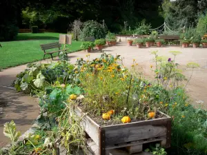 La Source floral park - Vegetable garden