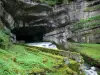 Source de la Loue - Source de la rivière Loue (résurgence du Doubs), grotte et parois rocheuses (falaise)