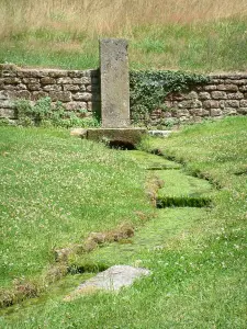 Source de la Saône - Source et cours (filet) d'eau de la Saône entouré d'herbage