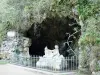 Sources de la Seine - Grotte romantique, avec nymphée en pierre, abritant la source principale de la Seine