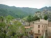 Speloncato - Village huizen, bomen en heuvels op de achtergrond