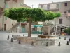 Speloncato - Dorpsplein met zijn fontein en boomhutten in de achtergrond (in Balagne)