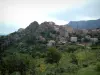 Speloncato - Village perché de Speloncato entouré d'arbres (en Balagne)