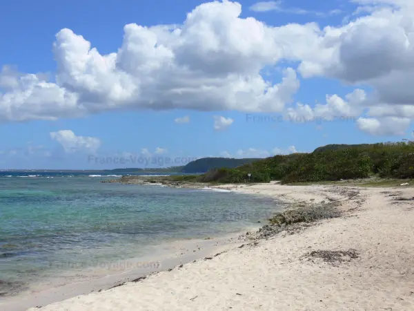 La spiaggia dell'ansa Maurice - Guida turismo, vacanze e weekend nella Guadalupa