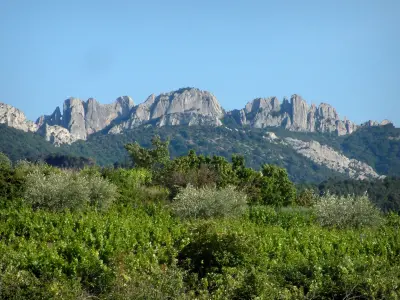 Spitzen von Montmirail