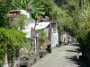 St. Peter - Beco no distrito de Fort forrado com casas e vegetação