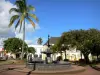 St. Peter - Praça da Câmara Municipal com fonte, árvores e palmeiras