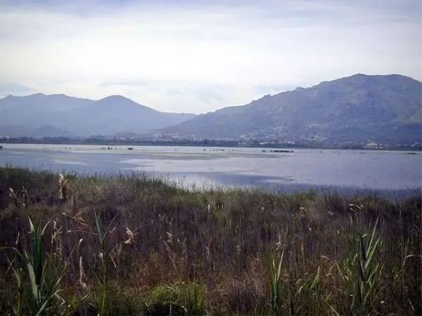 Lo stagno di Biguglia Guida Turismo e Vacanze