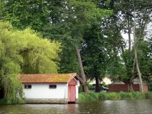 Stagno de Soustons - Cabinata al bordo dell'acqua e la banca alberato