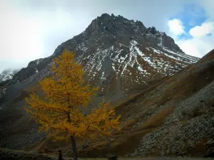 Strada delle Grandi Alpi - Albero dai colori vivaci in autunno e in cima a una montagna con poca neve