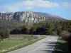 Strada Napoléon - Strada Napoléon circondata da prati, alberi, rocce e colline nel Parco Naturale Regionale del Verdon