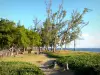Strand Ermitage - Strand bestreut mit Bäumen
