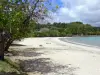 Stranden van Martinique - Raisiniers strand en de Atlantische Oceaan; in de gemeente La Trinité