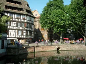 Strasbourg - La Petite France (ex curtidores, molineros y pescadores): River (Illinois), el banco con la tienda de flores, terrazas, árboles y blancas casas de madera en el techo inclinado