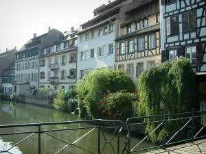 Strasbourg - La Petite France (ex curtidores, molineros y pescadores): puente, la vista de las casas, árboles y plantas a lo largo del río (Illinois)