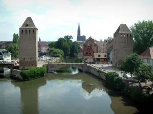 Strasbourg - River (Illinois) con rondas de Puentes Cubiertos, casas, árboles y Catedral de Notre Dame, en el fondo