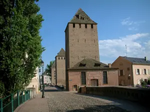 Strasbourg - Tours Puentes Cubiertos, árboles y casas