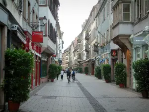 Strasbourg - Calle bordeada de árboles y de las tiendas