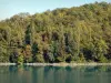 Stuwdam van Génissiat - Bomen langs het water vasthouden dam