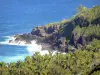 Sud sauvage - Vue sur le site de Grande Anse (commune de Petite-Île) et l'océan Indien