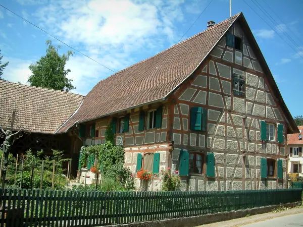 Sundgau - Jardim e casa de enxaimel com persianas verdes (aldeia de Riespach)