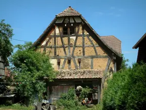 Sundgau - Alberi e vecchia casa con pareti di legno (villaggio Riespach)