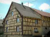 Sundgau - Maison jaune à colombages (village de Riespach)