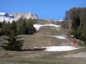 SuperDévoluy - Station de ski : piste de ski et arbres, au printemps ; dans le Dévoluy