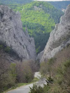 Tal des Bès - Schlucht von Barles: Felswände und Strasse gesäumt von Bäumen