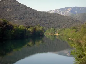 Tal des Hérault - Fluss Hérault, Bäume am Rande des Wassers, Hügel