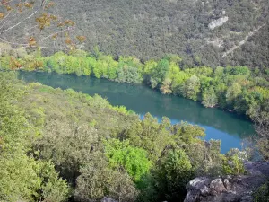 Tal des Hérault - Fluss Hérault gesäumt von Bäumen