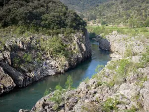 Tal des Hérault - Fluss Hérault, Felsen und Sträucher