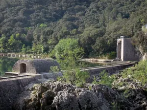 Tal des Hérault - Staudamm des Flusses Hérault und Bäume