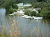 Tal der Mayenne - Blick auf den Fluss Mayenne und das Schwimmbad von Château-Gontier; hohe Gräser vorne