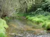 Tal der Ouche - Fluss Ouche in einer grünen Umgebung