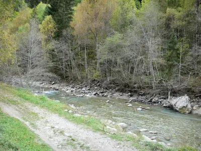 Tal des Vénéon