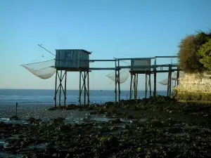 Talmont-sur-Gironde - Capanne dei pescatori su palafitte, le piazze (reti da pesca) appeso, con la bassa marea e l'estuario della Gironda in background