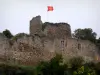 Talmont-Saint-Hilaire castle - Medieval fortress