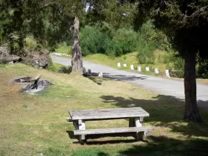 Tamarins forest road - Picnic table in a wooded setting