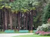 Tarbes - Jardin Massey (parc à l'anglaise) : palmiers, massif de fleurs et bancs